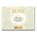 June BIRTHVERSE Bible Birthday Greeting Card - Centerville C&J Connection, Inc.