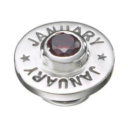 Kameleon Jewelry January BirthPop JewelPop - Centerville C&J Connection, Inc.